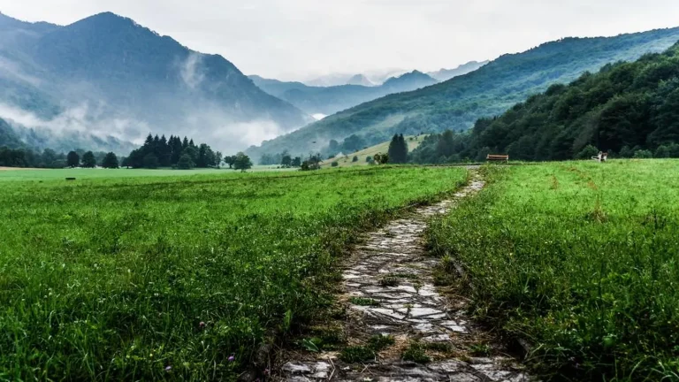 How to Set Career Goals You’ll Actually Achieve